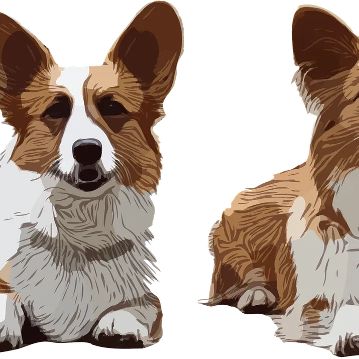 Corgi Airpods Case-01