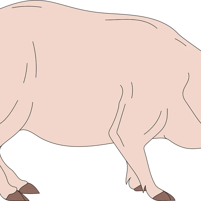 Pink Pig 2 Airpods Case-04